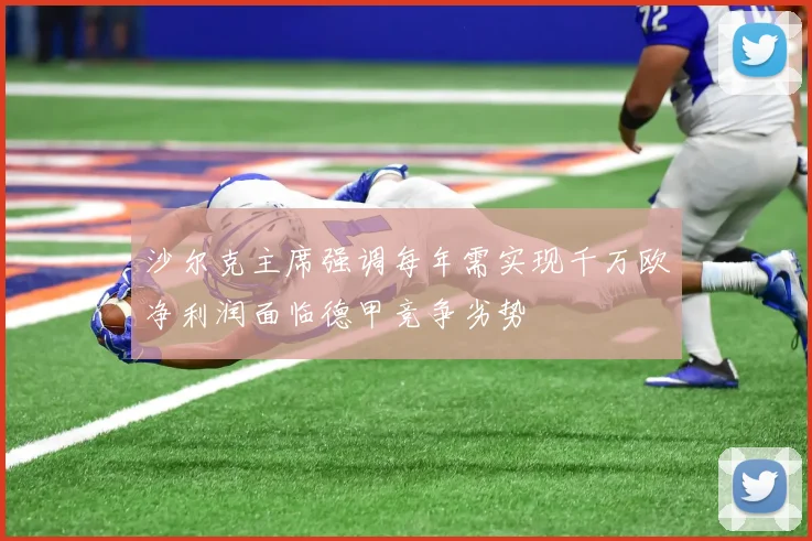 沙尔克主席强调每年需实现千万欧净利润面临德甲竞争劣势
